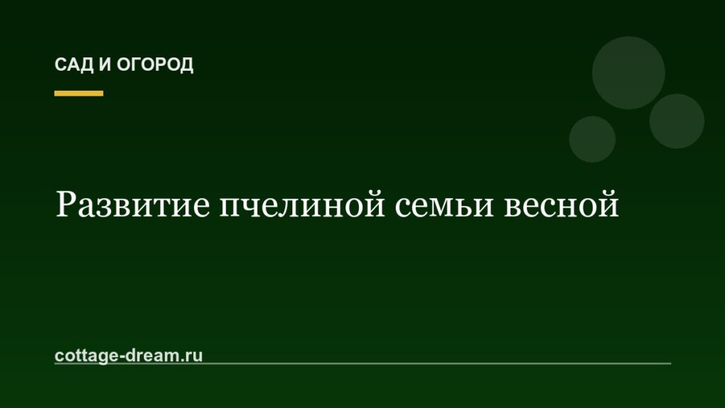 Развитие пчелиной семьи весной