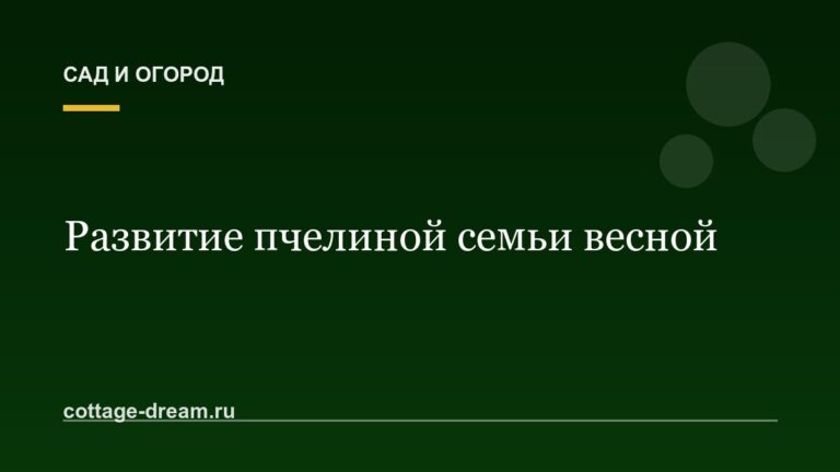 Развитие пчелиной семьи весной