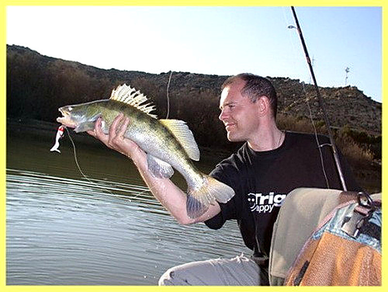 Рыбалка на троллинг ловля судака