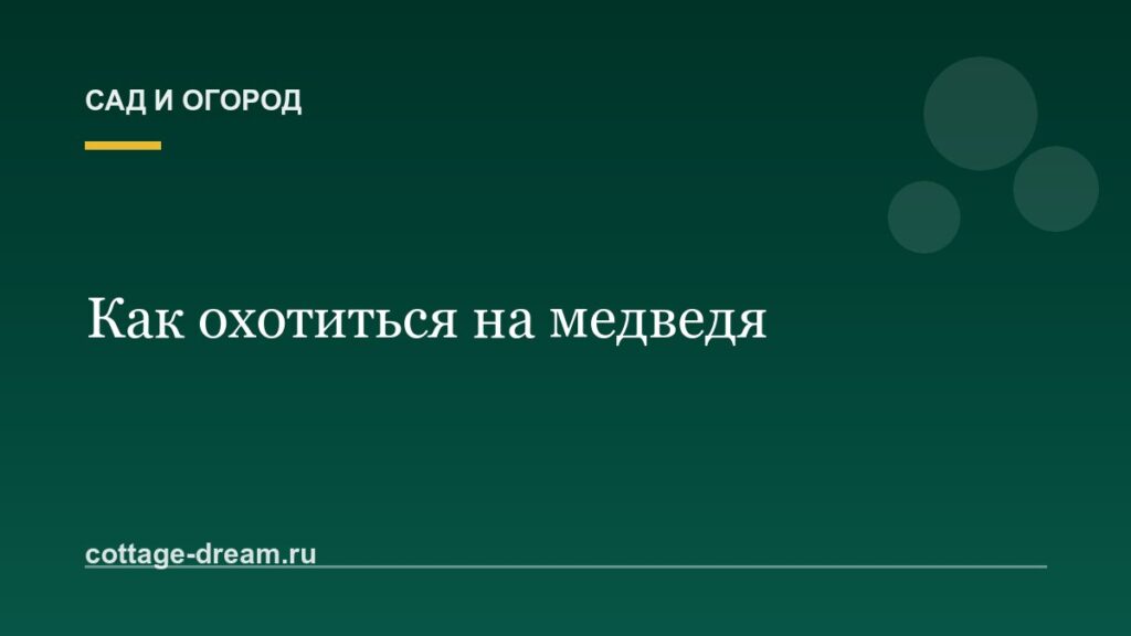 Как охотиться на медведя