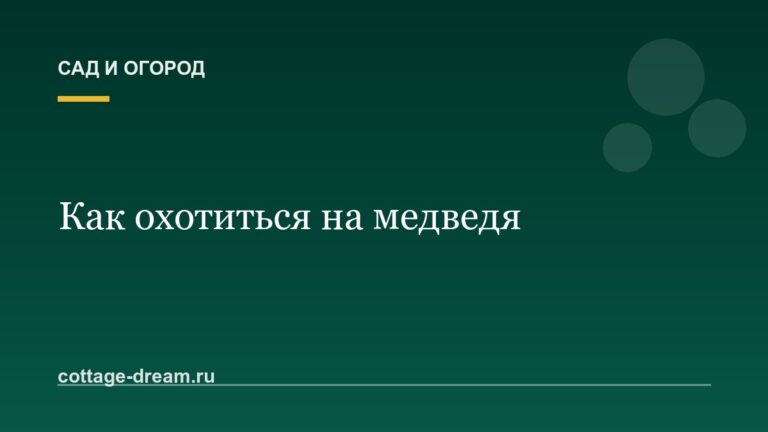 Как охотиться на медведя