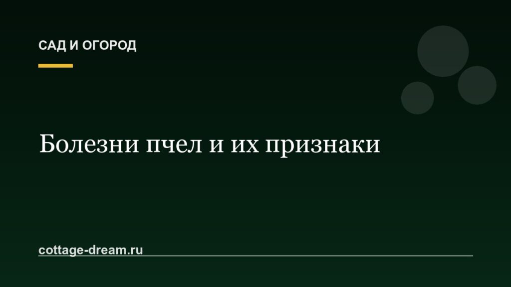 Болезни пчел и их признаки