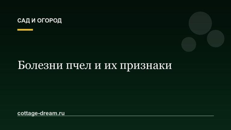 Болезни пчел и их признаки
