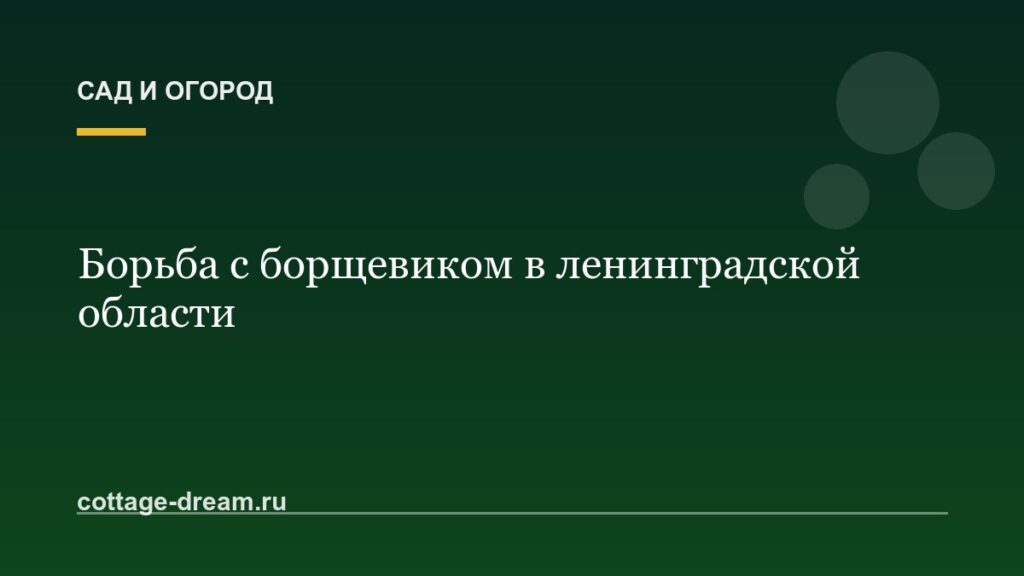 Борьба с борщевиком в ленинградской области