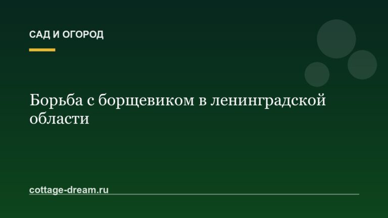 Борьба с борщевиком в ленинградской области