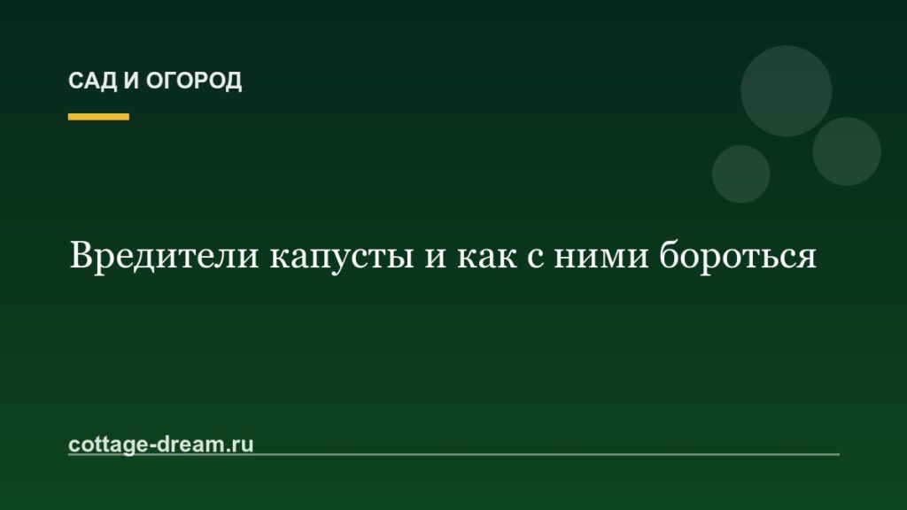 Вредители капусты и как с ними бороться