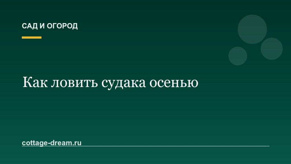 Как ловить судака осенью: видео