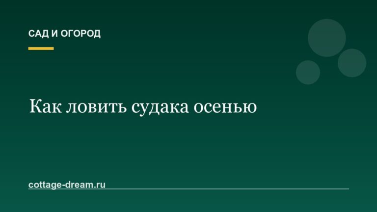 Как ловить судака осенью: видео