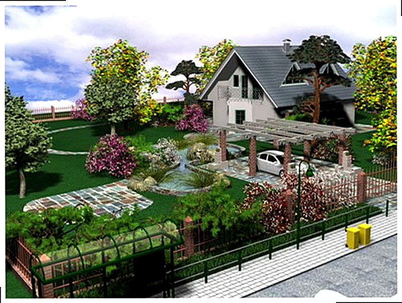 Как правильно расположить деревья и кустарники на участке