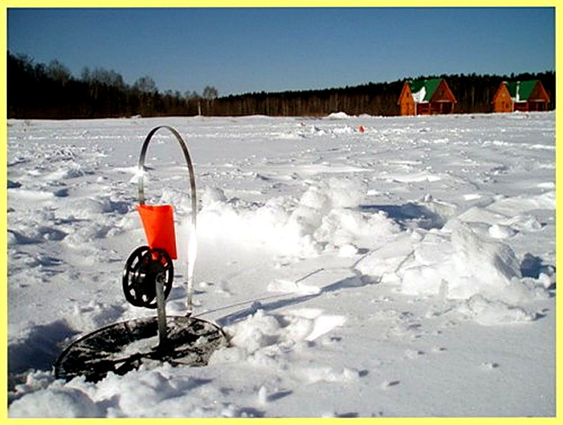 Как правильно расставить жерлицы