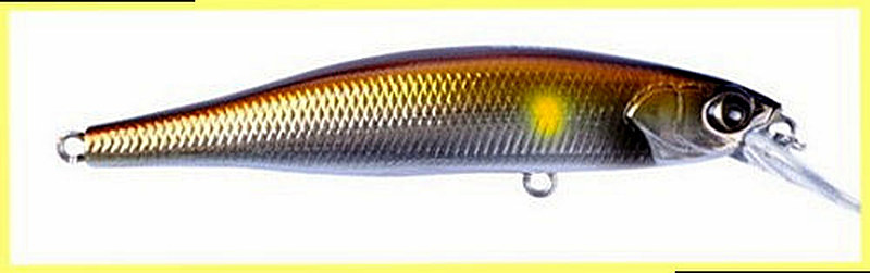 Owner Selection CT Minnow 85F