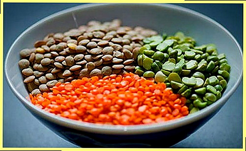 Выращивание чечевицы на даче