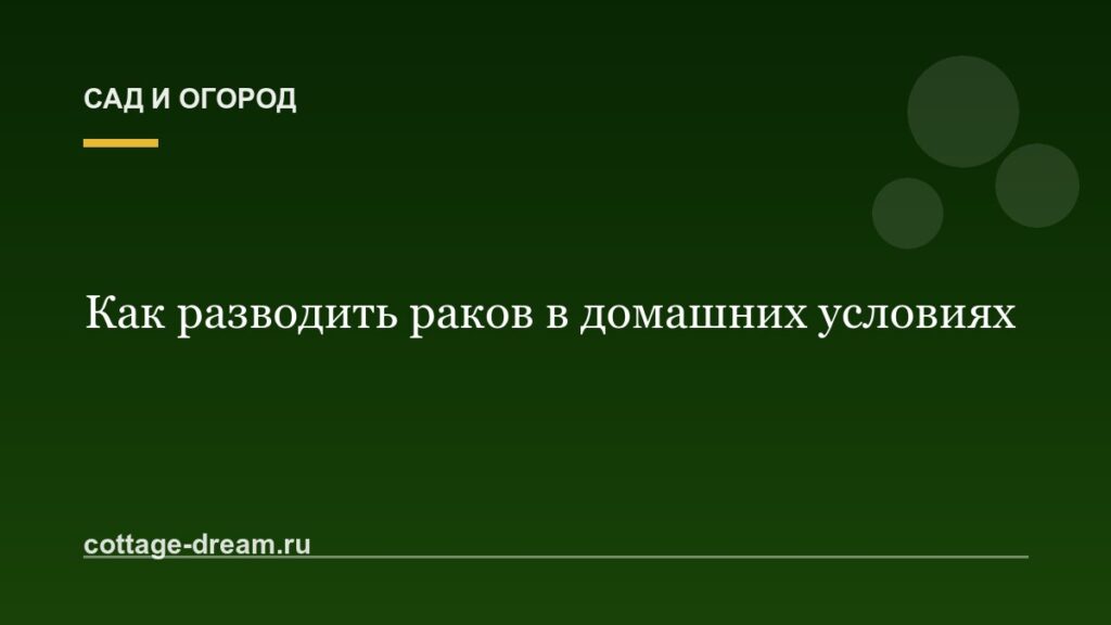 Как разводить раков в домашних условиях