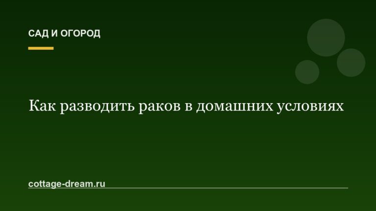 Как разводить раков в домашних условиях