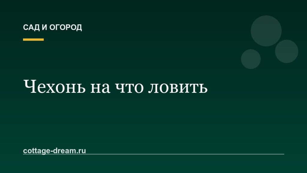 Чехонь на что ловить