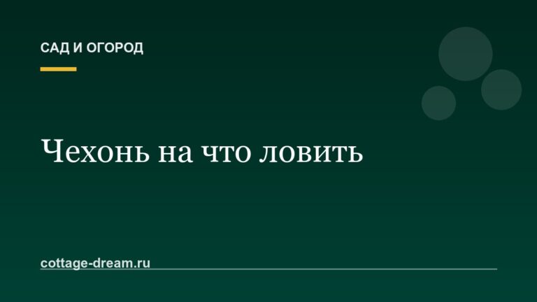 Чехонь на что ловить