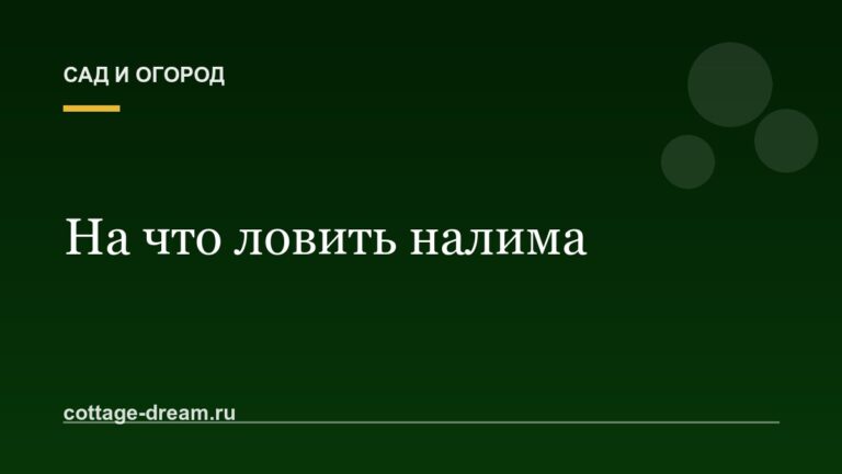 На что ловить налима