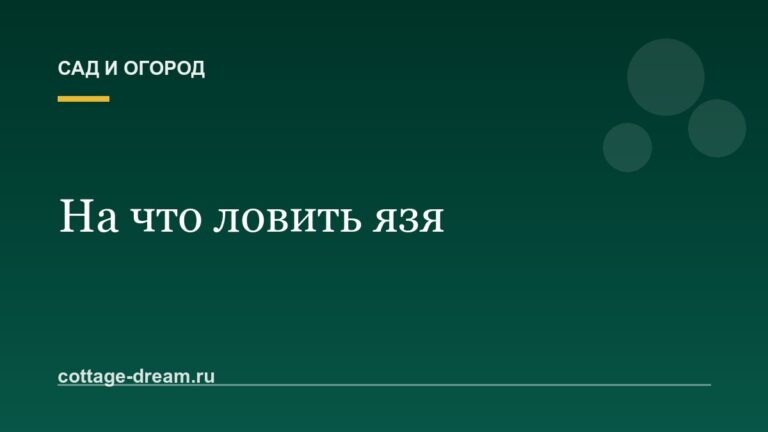 На что ловить язя
