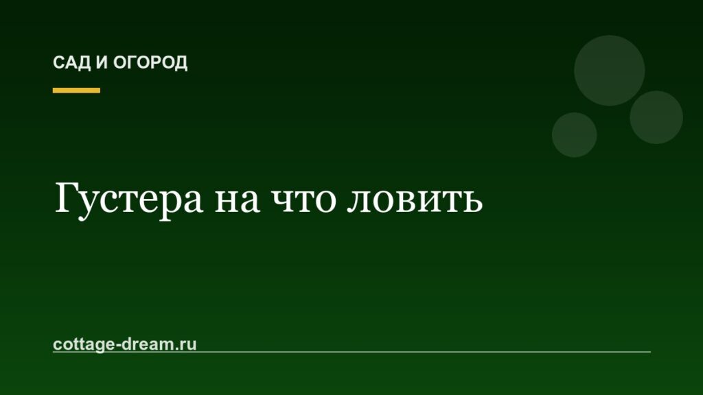 Густера на что ловить