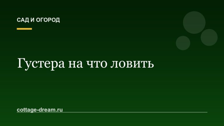 Густера на что ловить