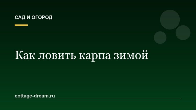 Как ловить карпа зимой