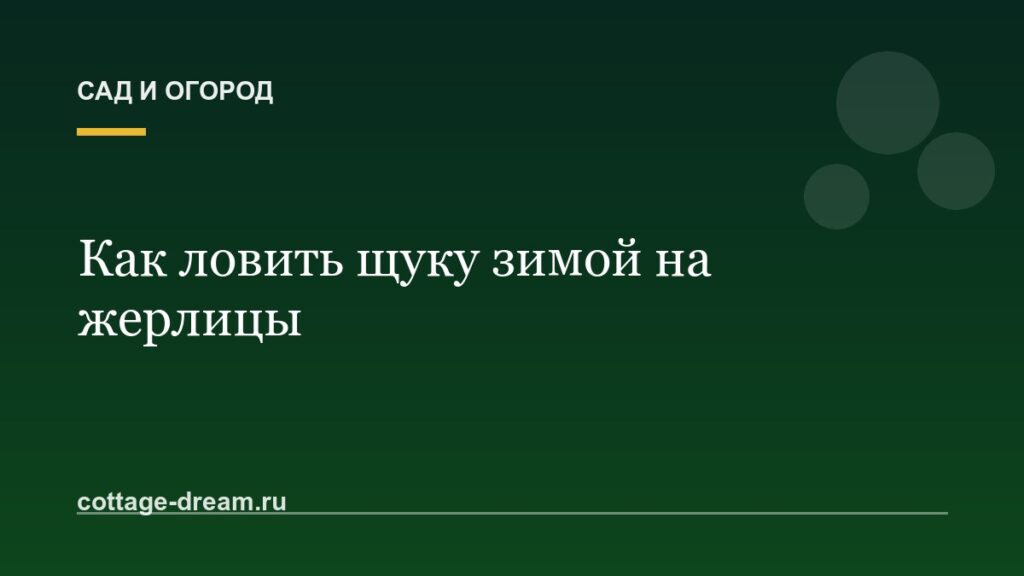 Как ловить щуку зимой на жерлицы