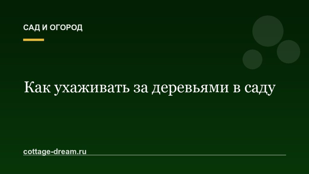 Как ухаживать за деревьями в саду
