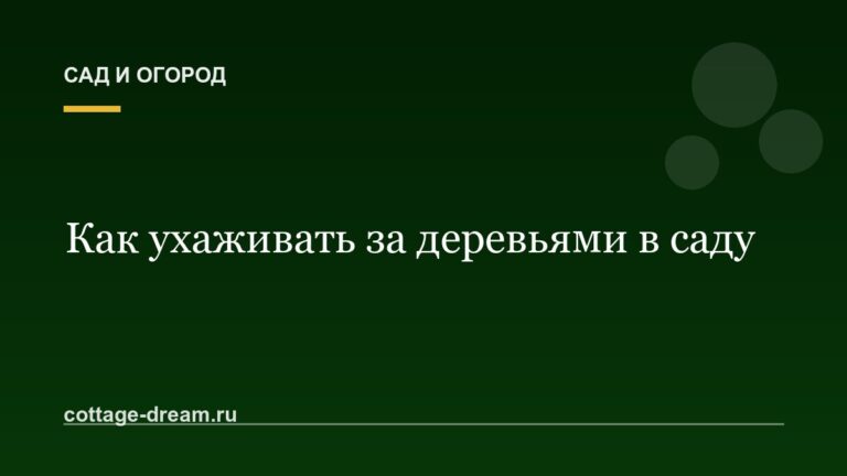 Как ухаживать за деревьями в саду