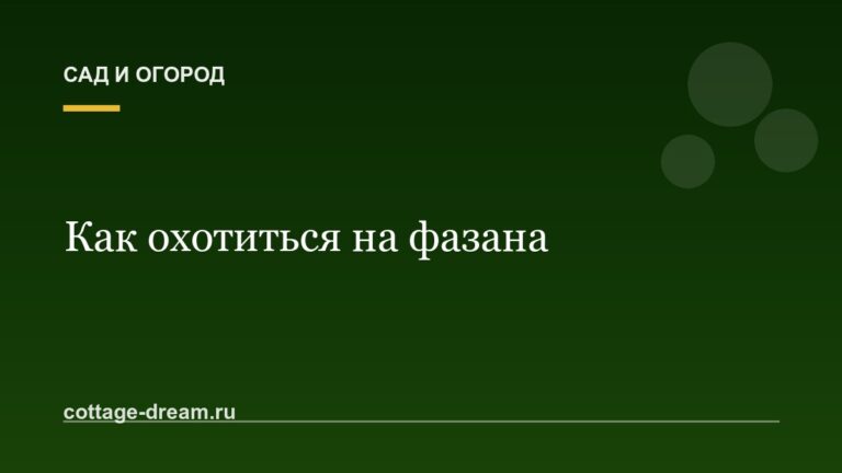 Как охотиться на фазана: с собакой и без