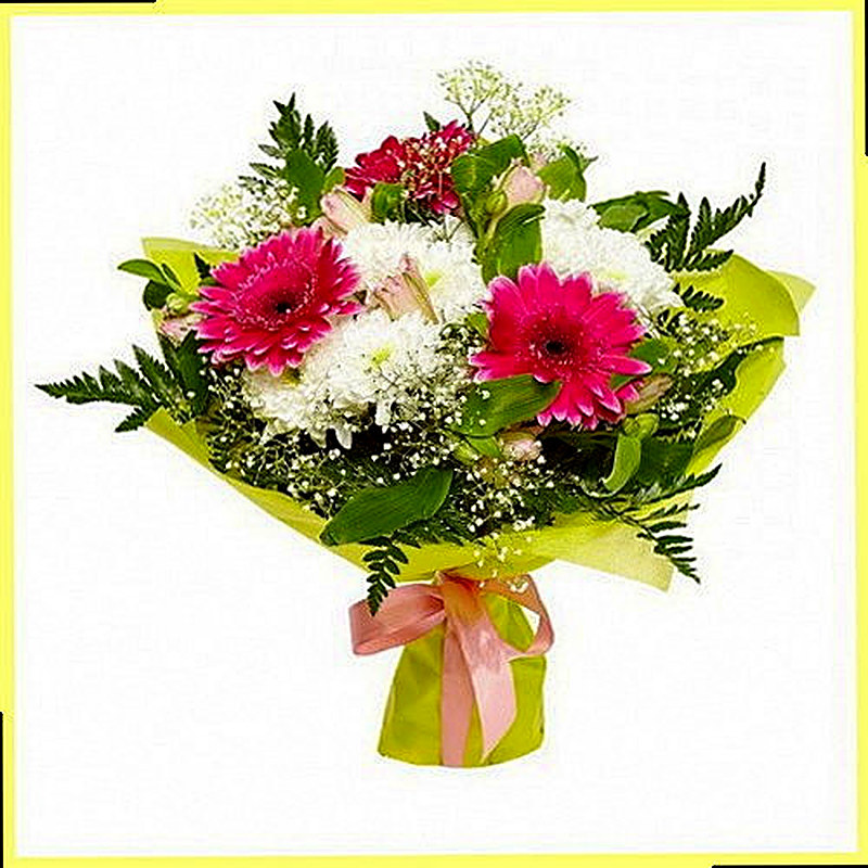 Гвоздика пражская карликовая