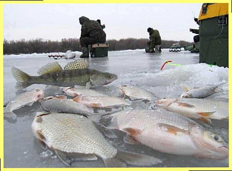 Как найти зимой рыбное место фото