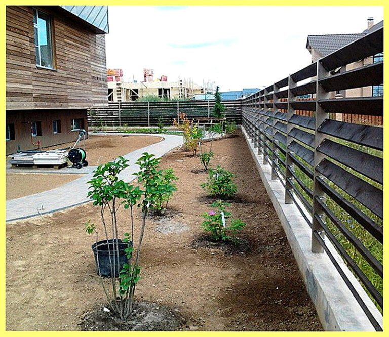 Посадка деревьев и кустарников на участке