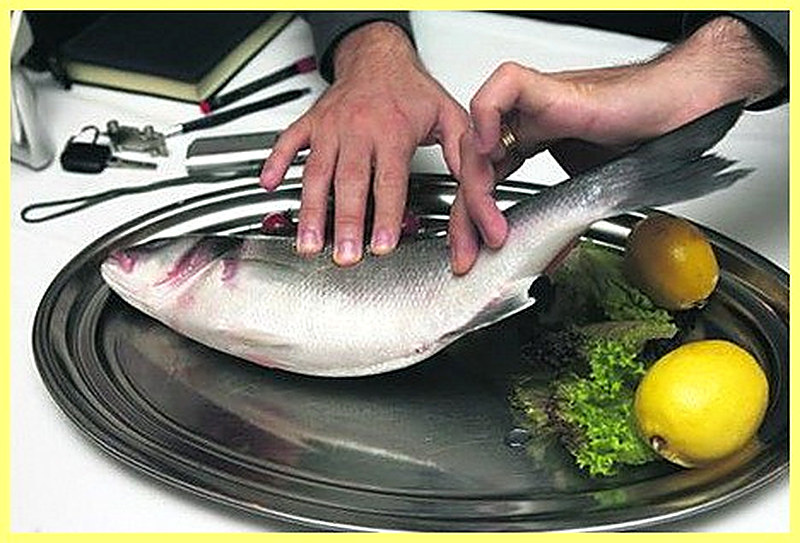 Как выбрать качественную рыбу