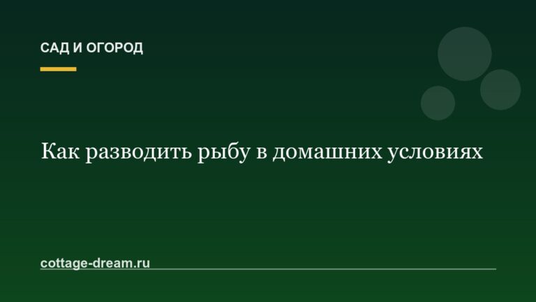 Как разводить рыбу в домашних условиях