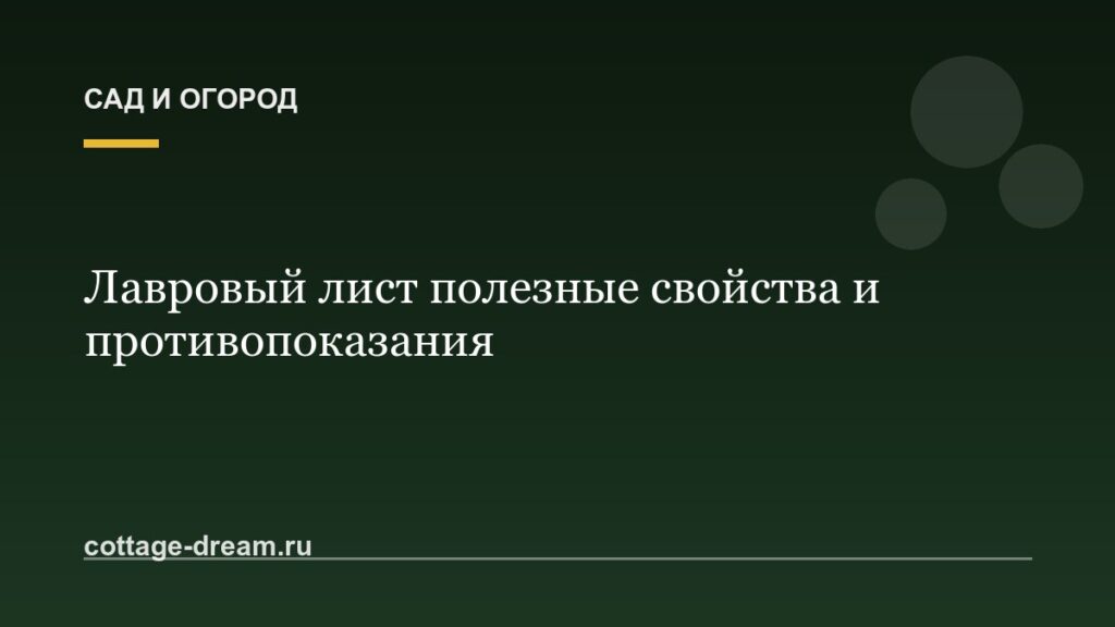 Лавровый лист полезные свойства и противопоказания: описание
