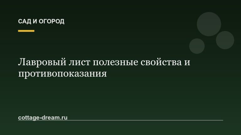 Лавровый лист полезные свойства и противопоказания: описание