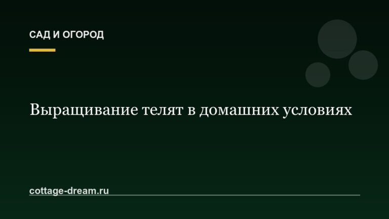 Выращивание телят в домашних условиях