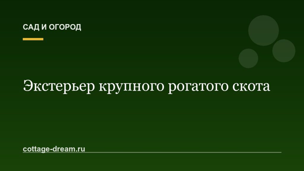 Экстерьер крупного рогатого скота