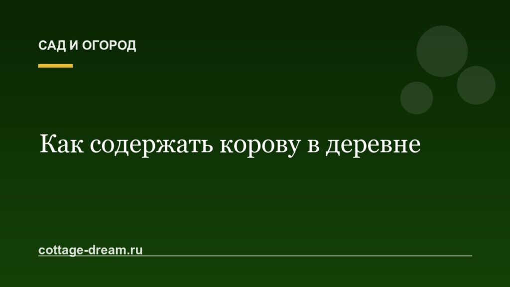 Как содержать корову в деревне
