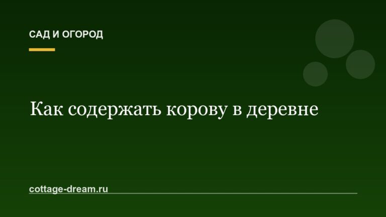 Как содержать корову в деревне