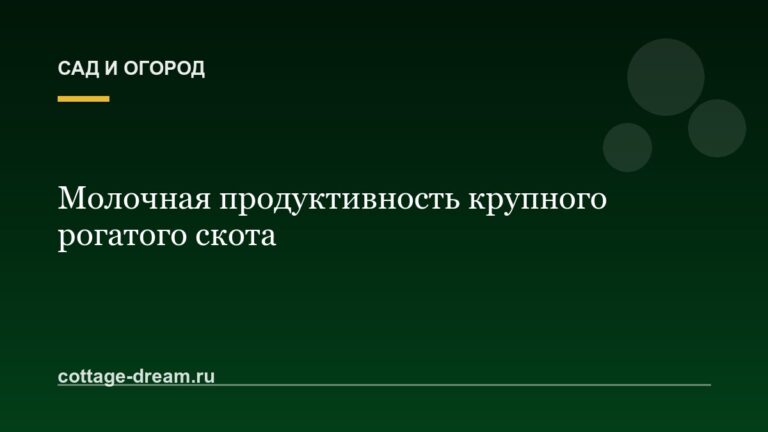 Молочная продуктивность крупного рогатого скота