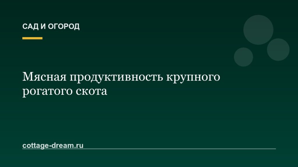 Мясная продуктивность крупного рогатого скота