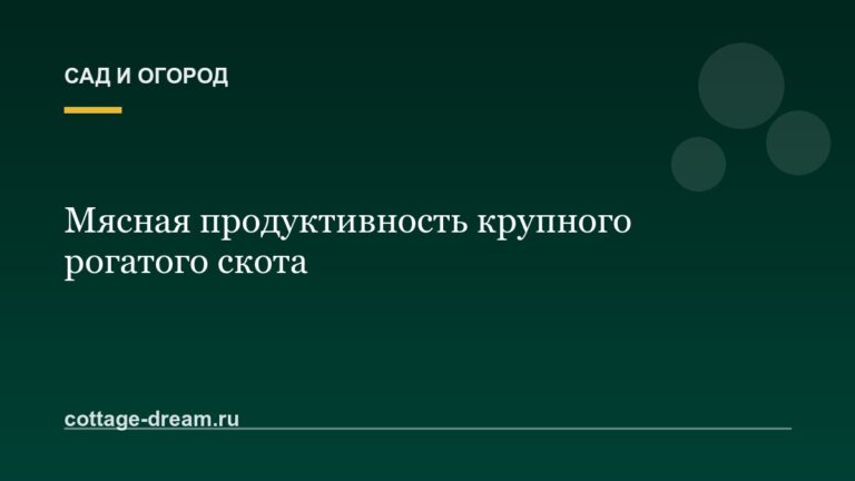 Мясная продуктивность крупного рогатого скота