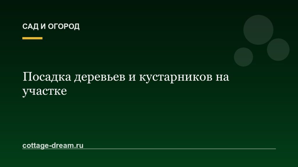 Посадка деревьев и кустарников на участке
