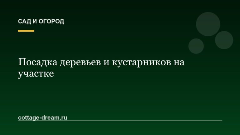 Посадка деревьев и кустарников на участке