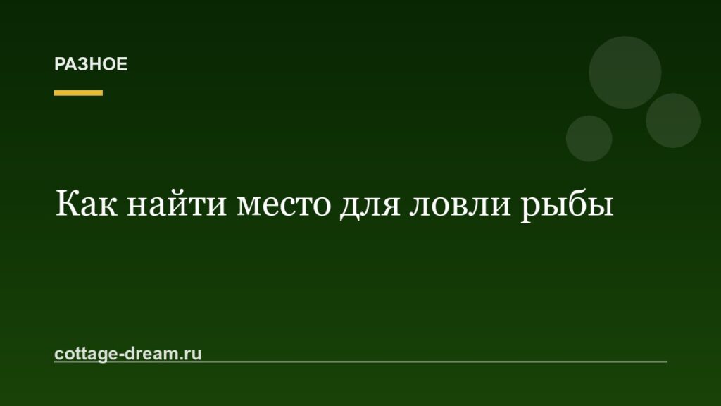 Как найти место для ловли рыбы: зимой