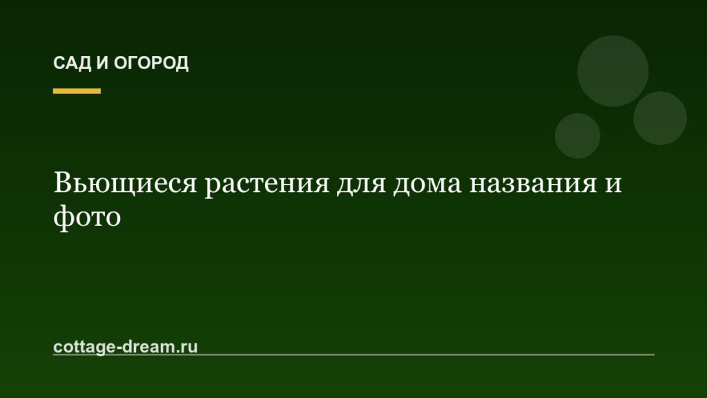 Вьющиеся растения для дома названия и фото