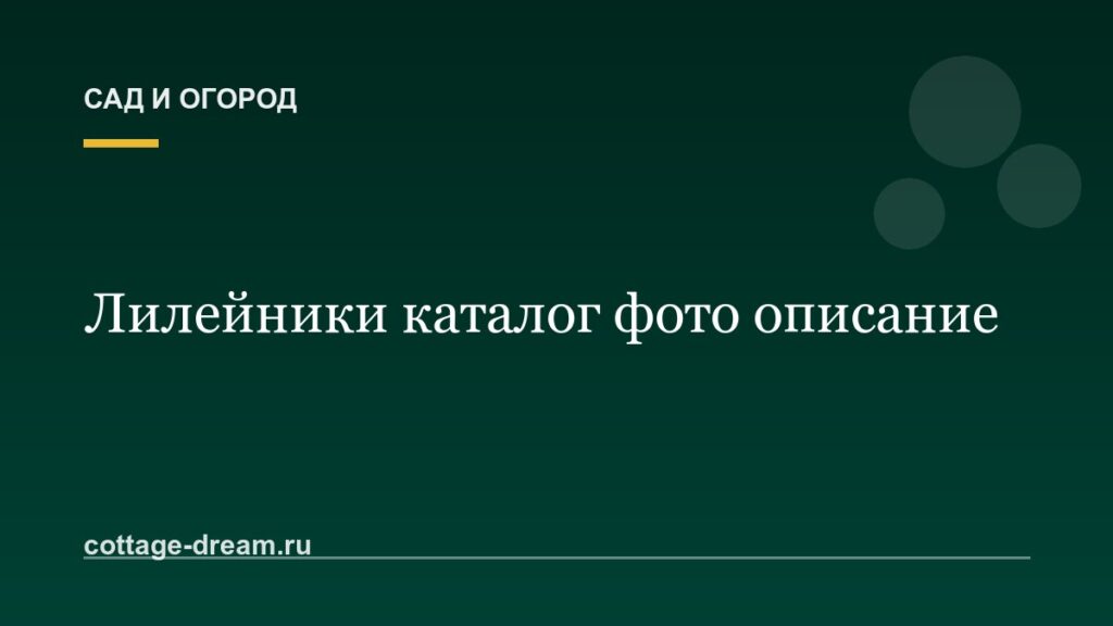 Лилейники каталог фото описание