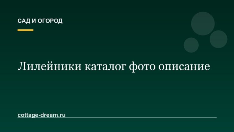 Лилейники каталог фото описание