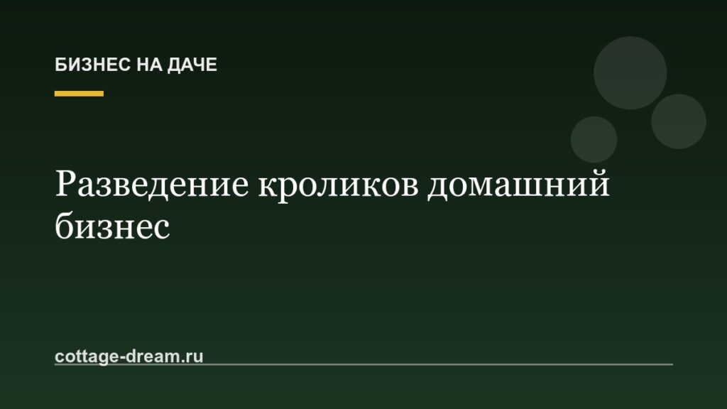 Разведение кроликов домашний бизнес